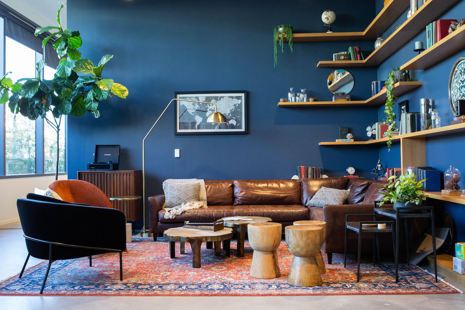 A therapy office with shelves and blue walls, which are among the best colors for feng shui therapy office design