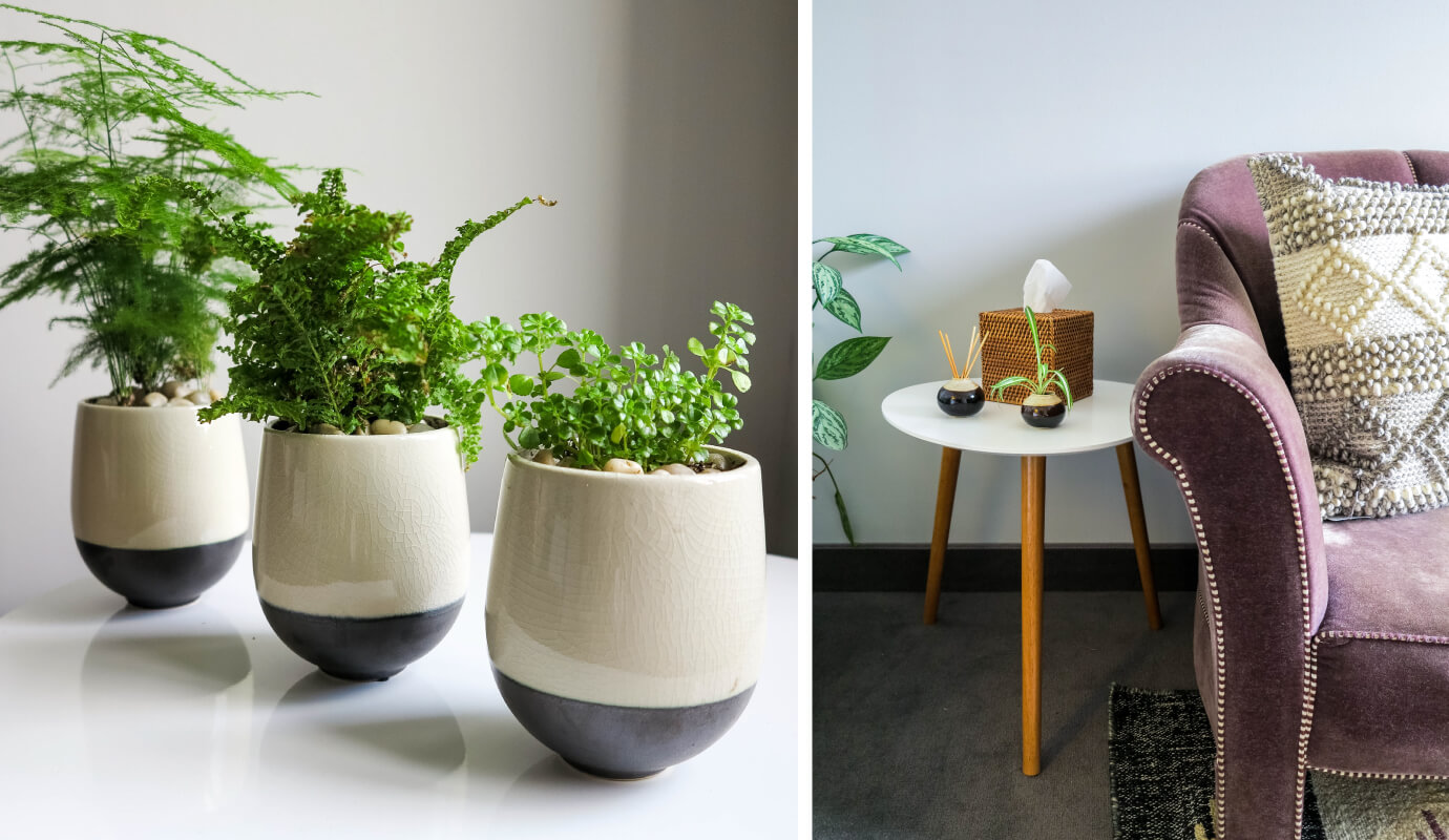 plants and comfortable chair with various other therapy office furniture in a therapist office space